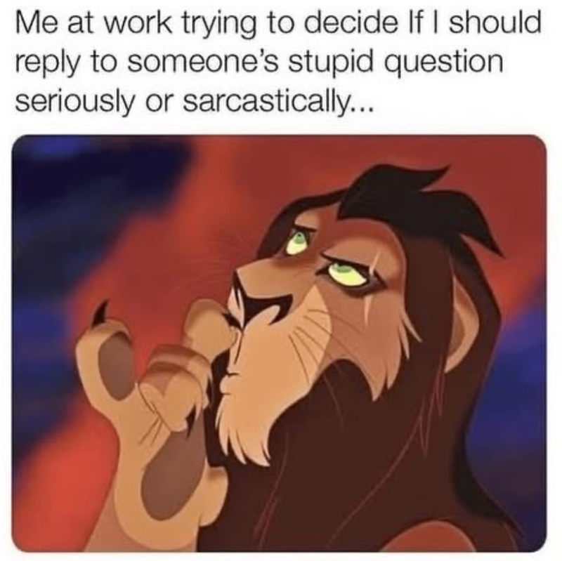 Me at work trying to decide If I should reply to someone's stupid question seriously or sarcastically...
