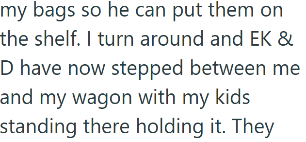 my bags so he can put them on the shelf. I turn around and EK & D have now stepped between me and my wagon with my kids standing there holding it. They