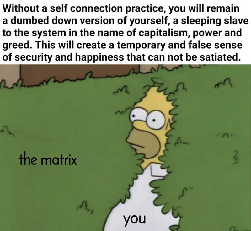 Without a self connection practice, you will remain a dumbed down version of yourself, a sleeping slave to the system in the name of capitalism, power and greed. This will create a temporary and false sense of security and happiness that can not be satiated. ரை the matrix you E