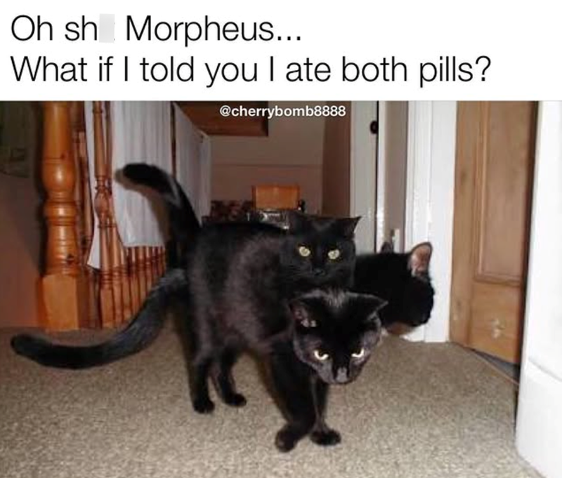 Oh sh Morpheus... What if I told you I ate both pills? @cherrybomb8888
