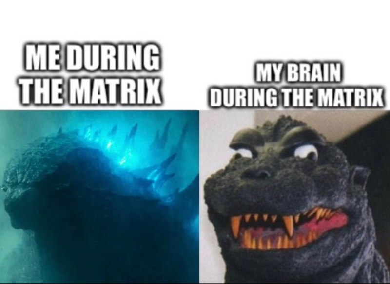 ME DURING THE MATRIX MY BRAIN DURING THE MATRIX
