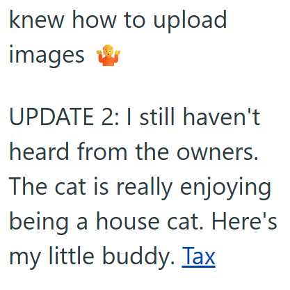 knew how to upload images UPDATE 2: I still haven't heard from the owners. The cat is really enjoying being a house cat. Here's my little buddy. Tax