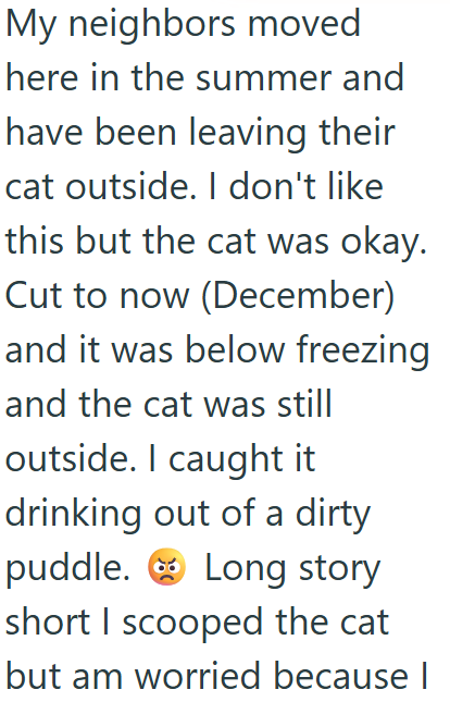 My neighbors moved here in the summer and have been leaving their cat outside. I don't like this but the cat was okay. Cut to now (December) and it was below freezing and the cat was still outside. I caught it drinking out of a dirty puddle. Long story short I scooped the cat but am worried because |