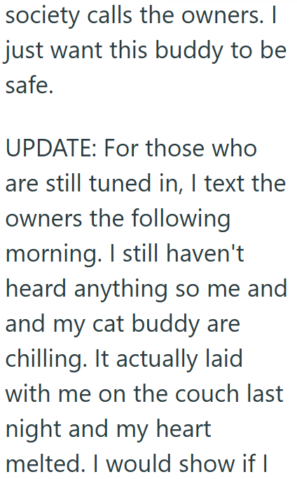 society calls the owners. I just want this buddy to be safe. UPDATE: For those who are still tuned in, I text the owners the following morning. I still haven't heard anything so me and and my cat buddy are chilling. It actually laid with me on the couch last night and my heart melted. I would show if I