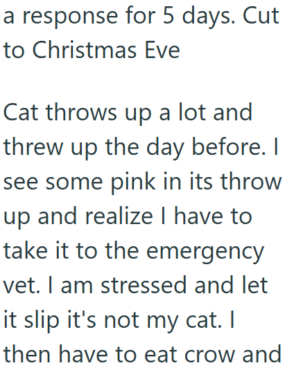 a response for 5 days. Cut to Christmas Eve Cat throws up a lot and threw up the day before. I see some pink in its throw up and realize I have to take it to the emergency vet. I am stressed and let it slip it's not my cat. I then have to eat crow and