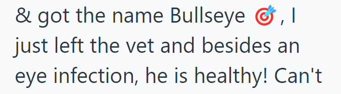 & got the name Bullseye ☛, I just left the vet and besides an eye infection, he is healthy! Can't