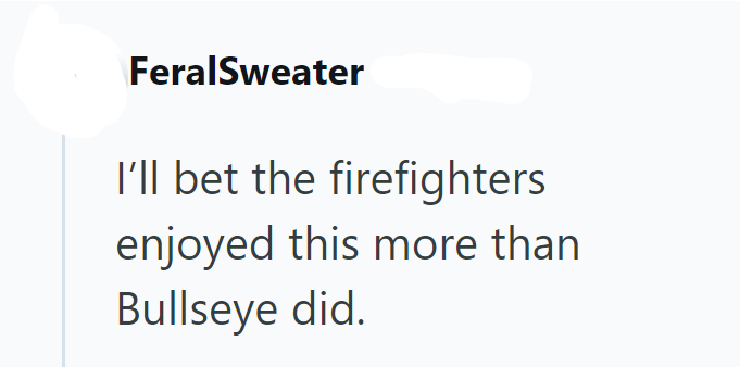 FeralSweater I'll bet the firefighters enjoyed this more than Bullseye did.