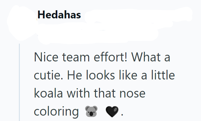 Hedahas Nice team effort! What a cutie. He looks like a little koala with that nose coloring
