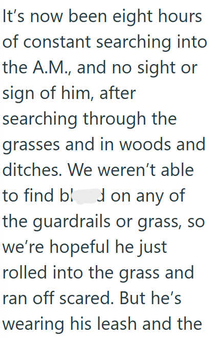 It's now been eight hours of constant searching into the A.M., and no sight or sign of him, after searching through the grasses and in woods and ditches. We weren't able to find bon any of the guardrails or grass, so we're hopeful he just rolled into the grass and ran off scared. But he's wearing his leash and the