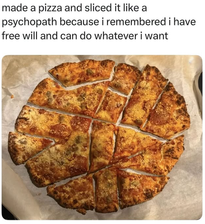 made a pizza and sliced it like a psychopath because i remembered i have free will and can do whatever i want