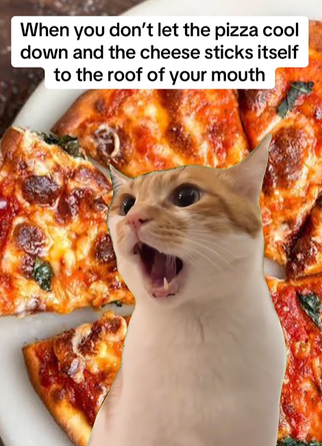 When you don't let the pizza cool down and the cheese sticks itself to the roof of your mouth