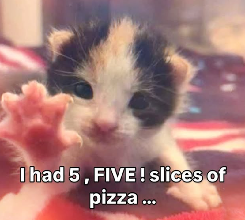 I had 5, FIVE! slices of pizza...