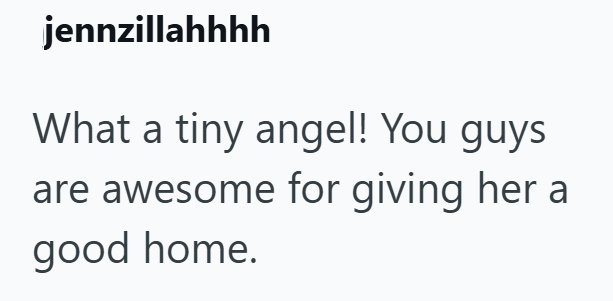 jennzillahhhh What a tiny angel! You guys are awesome for giving her a good home.