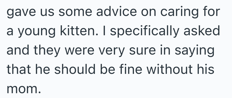 gave us some advice on caring for a young kitten. I specifically asked and they were very sure in saying that he should be fine without his mom.