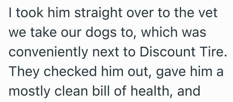 I took him straight over to the vet we take our dogs to, which was conveniently next to Discount Tire. They checked him out, gave him a mostly clean bill of health, and