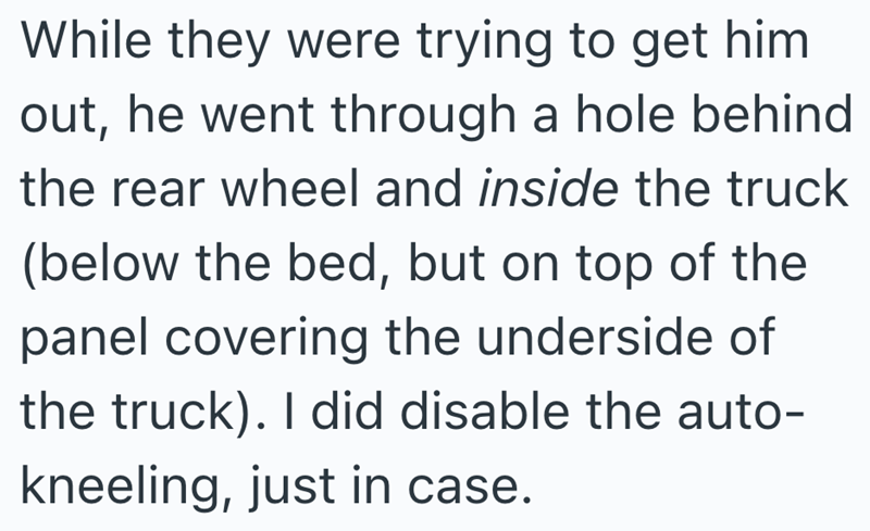 While they were trying to get him out, he went through a hole behind the rear wheel and inside the truck (below the bed, but on top of the panel covering the underside of the truck). I did disable the auto- kneeling, just in case.