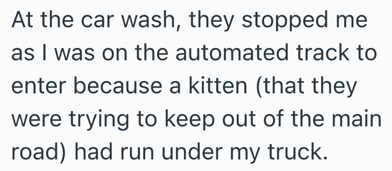 At the car wash, they stopped me as I was on the automated track to enter because a kitten (that they were trying to keep out of the main road) had run under my truck.