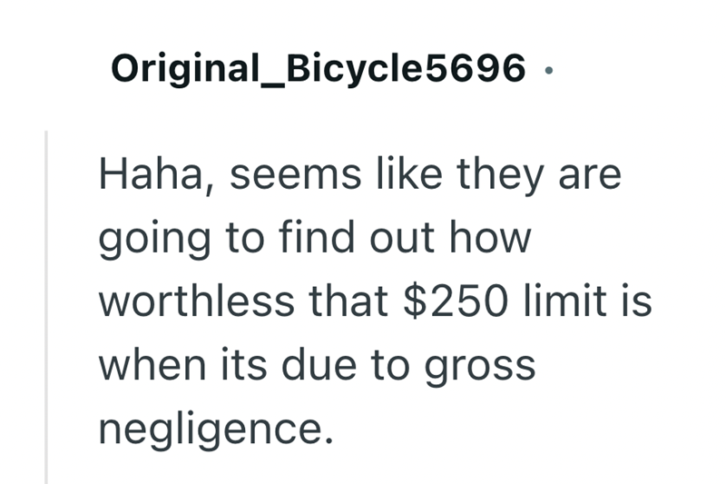 Original Bicycle5696. Haha, seems like they are going to find out how worthless that $250 limit is when its due to gross negligence.