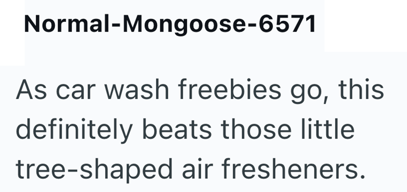 Normal-Mongoose-6571 As car wash freebies go, this definitely beats those little tree-shaped air fresheners.