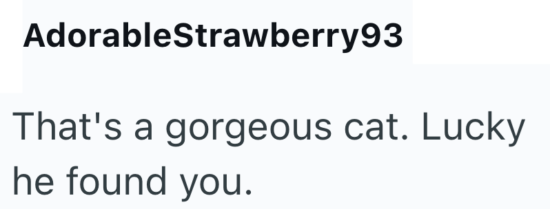 AdorableStrawberry93 That's a gorgeous cat. Lucky he found you.