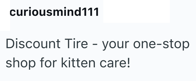 curiousmind111 Discount Tire - your one-stop shop for kitten care!