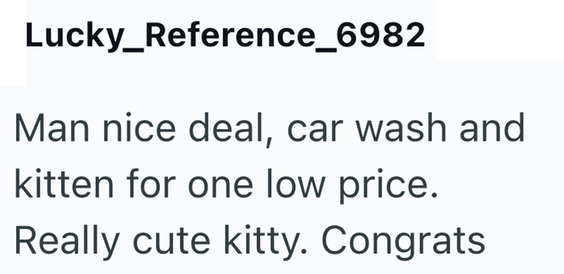 Lucky_Reference_6982 Man nice deal, car wash and kitten for one low price. Really cute kitty. Congrats