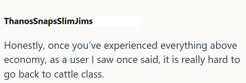 ThanosSnapsSlimJims Honestly, once you've experienced everything above economy, as a user I saw once said, it is really hard to go back to cattle class.