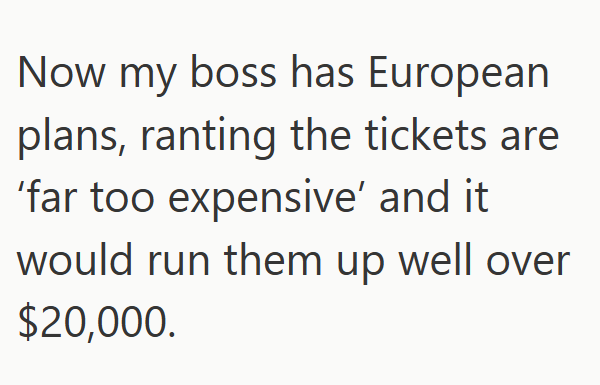 Now my boss has European plans, ranting the tickets are 'far too expensive' and it would run them up well over $20,000.