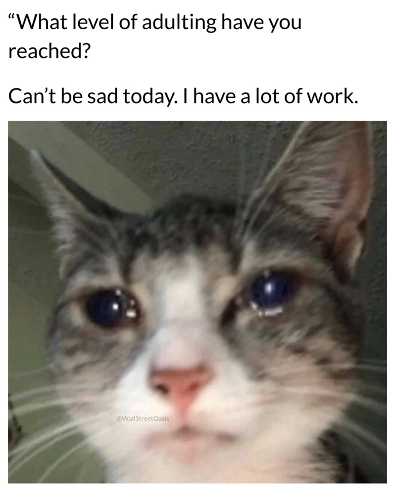 "What level of adulting have you reached? Can't be sad today. I have a lot of work. @WallStreetOasis