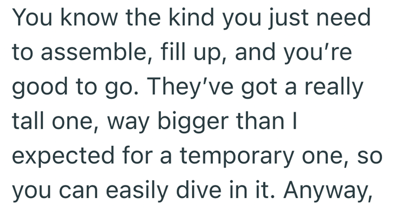 You know the kind you just need to assemble, fill up, and you're good to go. They've got a really tall one, way bigger than I expected for a temporary one, so you can easily dive in it. Anyway,