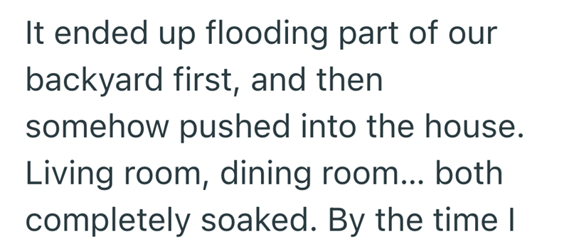 It ended up flooding part of our backyard first, and then somehow pushed into the house. Living room, dining room... both completely soaked. By the time I