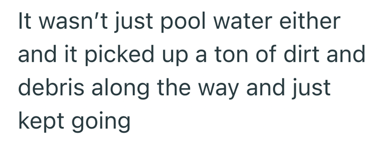 It wasn't just pool water either and it picked up a ton of dirt and debris along the way and just kept going