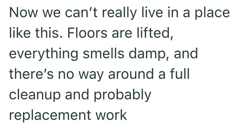 Now we can't really live in a place like this. Floors are lifted, everything smells damp, and there's no way around a full cleanup and probably replacement work