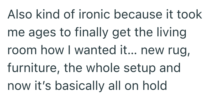 Also kind of ironic because it took me ages to finally get the living room how I wanted it... new rug, furniture, the whole setup and now it's basically all on hold