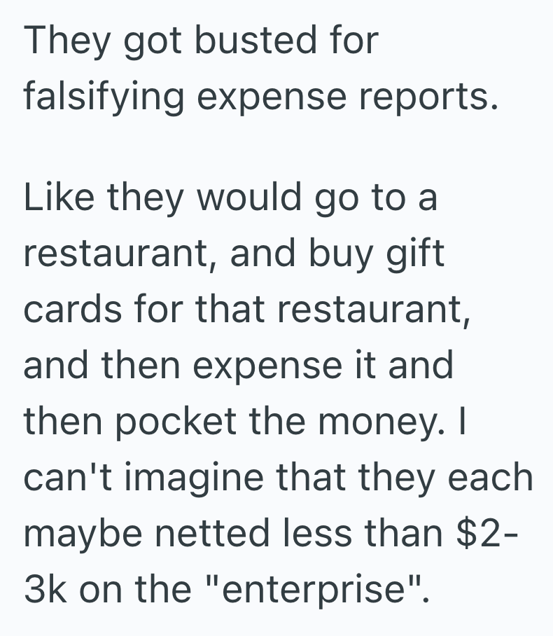 They got busted for falsifying expense reports. Like they would go to a restaurant, and buy gift cards for that restaurant, and then expense it and then pocket the money. I can't imagine that they each maybe netted less than $2- 3k on the "enterprise".