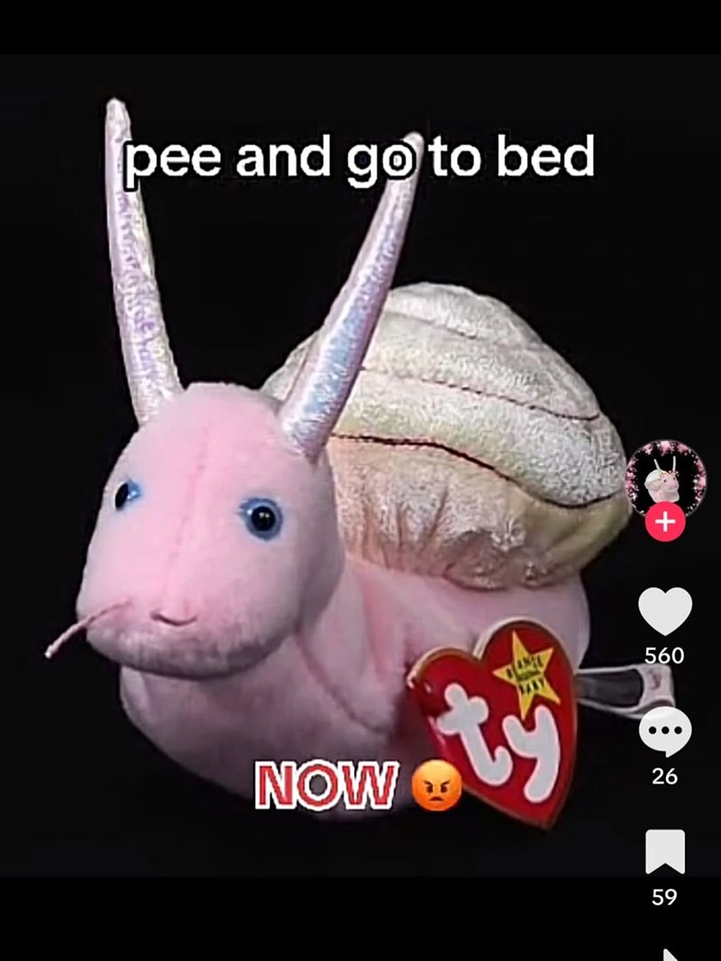 pee and go to bed NOW ty + 560 26 59 59
