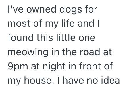 I've owned dogs for most of my life and I found this little one meowing in the road at 9pm at night in front of my house. I have no idea