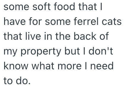 some soft food that I have for some ferrel cats that live in the back of my property but I don't know what more I need to do.