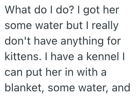 What do I do? I got her some water but I really don't have anything for kittens. I have a kennel I can put her in with a blanket, some water, and