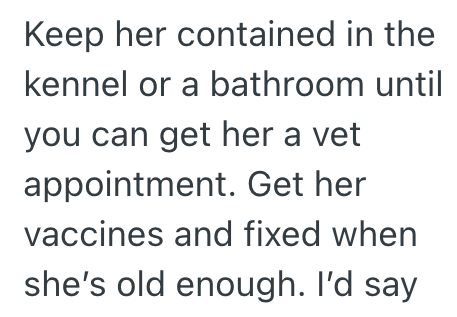 Keep her contained in the kennel or a bathroom until you can get her a vet appointment. Get her vaccines and fixed when she's old enough. I'd say