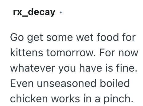 rx_decay. Go get some wet food for kittens tomorrow. For now whatever you have is fine. Even unseasoned boiled chicken works in a pinch.