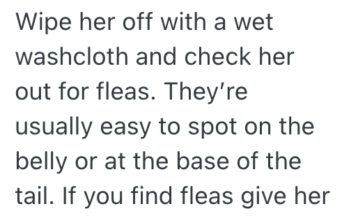 Wipe her off with a wet washcloth and check her out for fleas. They're usually easy to spot on the belly or at the base of the tail. If you find fleas give her