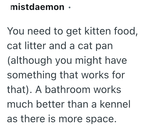 mistdaemon ⚫ You need to get kitten food, cat litter and a cat pan (although you might have something that works for that). A bathroom works much better than a kennel as there is more space.