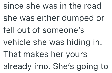 since she was in the road she was either dumped or fell out of someone's vehicle she was hiding in. That makes her yours already imo. She's going to