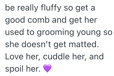 be really fluffy so get a good comb and get her used to grooming young so she doesn't get matted. Love her, cuddle her, and spoil her.