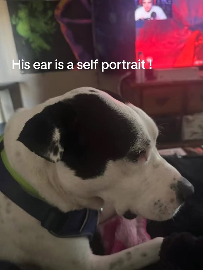His ear is a self portrait !