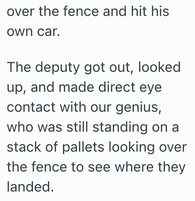 over the fence and hit his own car. The deputy got out, looked up, and made direct eye contact with our genius, who was still standing on a stack of pallets looking over the fence to see where they landed.