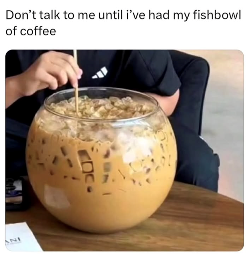 221 Don't talk to me until i've had my fishbowl of coffee