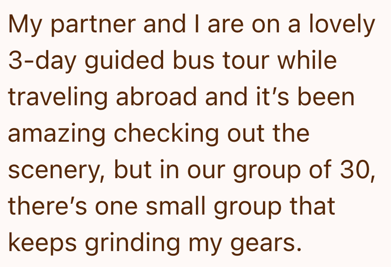 My partner and I are on a lovely 3-day guided bus tour while traveling abroad and it's been amazing checking out the scenery, but in our group of 30, there's one small group that keeps grinding my gears.