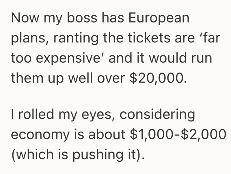 Now my boss has European plans, ranting the tickets are 'far too expensive' and it would run them up well over $20,000. I rolled my eyes, considering economy is about $1,000-$2,000 (which is pushing it).